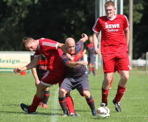 SG Lokomotive Brandenburg - Teltower FV  1:2 (1:1)