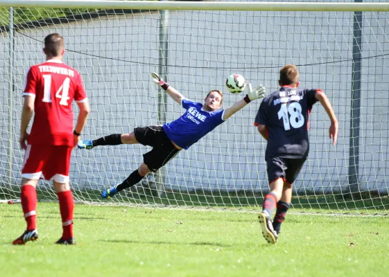 SG Lokomotive Brandenburg - Teltower FV  1:2 (1:1)