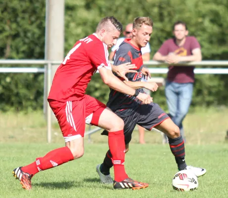 SG Lokomotive Brandenburg - Teltower FV  1:2 (1:1)