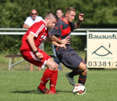 SG Lokomotive Brandenburg - Teltower FV  1:2 (1:1)