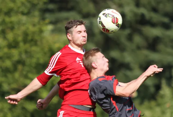 SG Lokomotive Brandenburg - Teltower FV  1:2 (1:1)