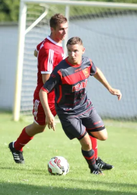 SG Lokomotive Brandenburg - Teltower FV  1:2 (1:1)