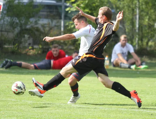 SG lok Brandenburg - TSV Treuenbrietzen 5:0