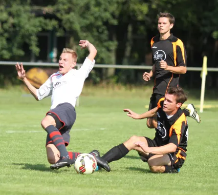 SG lok Brandenburg - TSV Treuenbrietzen 5:0