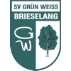 SV Grün‑Weiss Brieselang II