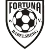 Fortuna Babelsberg