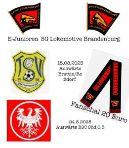 Testspiele unserer E-Junioren gegen Brettin und Süd 05