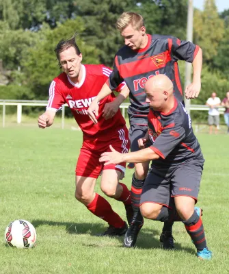 SG Lokomotive Brandenburg - Teltower FV  1:2 (1:1)