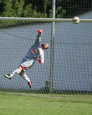 SG Lokomotive Brandenburg - Teltower FV  1:2 (1:1)