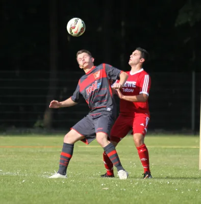 SG Lokomotive Brandenburg - Teltower FV  1:2 (1:1)
