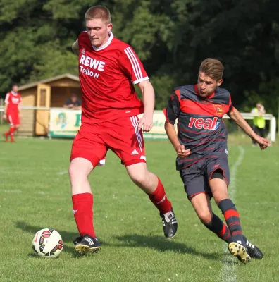 SG Lokomotive Brandenburg - Teltower FV  1:2 (1:1)