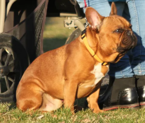 Lok Brandenburg - SV Rhinow/Großderschau