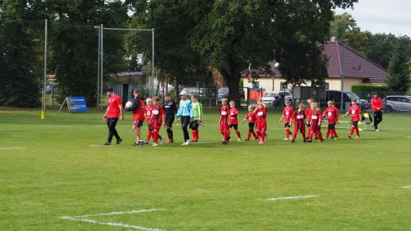 Schnappschüsse Heimsieg der E-Junioren