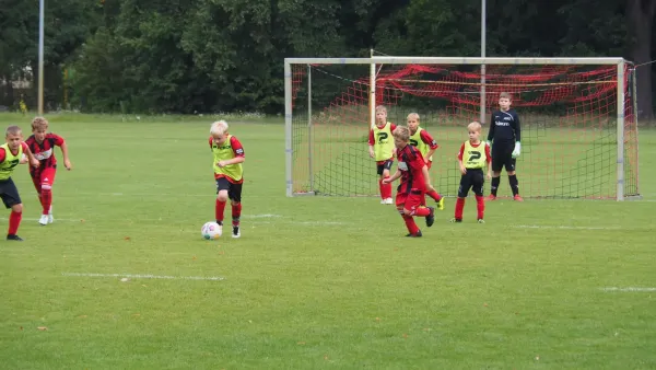 Schnappschüsse Heimsieg der E-Junioren