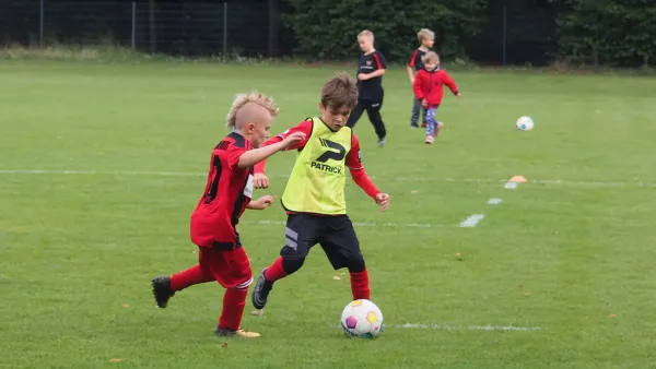 Schnappschüsse Heimsieg der E-Junioren