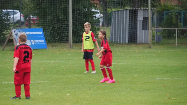 Schnappschüsse Heimsieg der E-Junioren