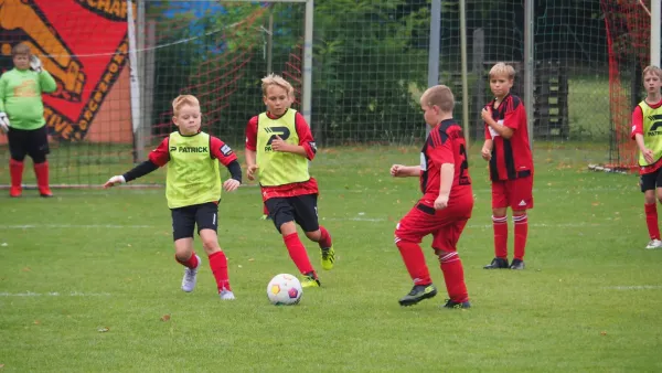 Schnappschüsse Heimsieg der E-Junioren