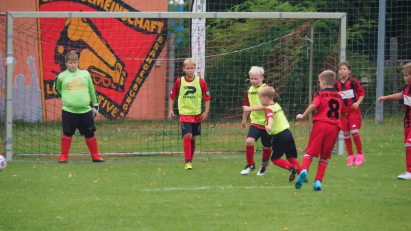 Schnappschüsse Heimsieg der E-Junioren