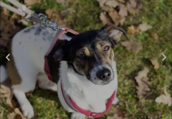 📸Schnappschüsse der E-Junioren📸