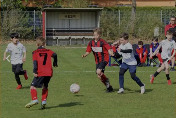 📸 E-Jugend gegen Empor Brandenburg