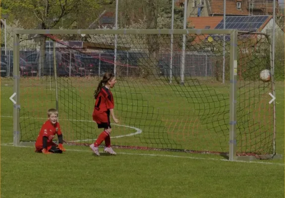 📸 E-Jugend gegen Empor Brandenburg