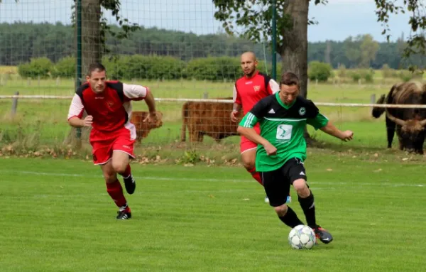 SV Eiche Ragösen - Lok Brandenburg II 2:1