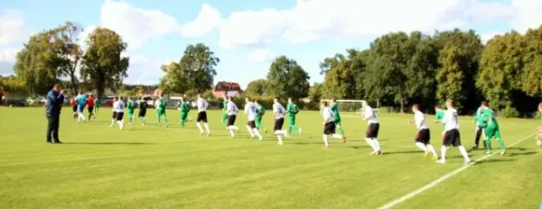 Lok Brandenburg - SV Falkensee-Finkenkrug II 5:1