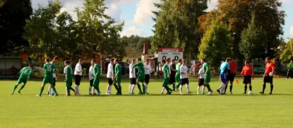 Lok Brandenburg - SV Falkensee-Finkenkrug II 5:1