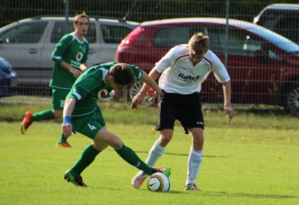 Lok Brandenburg - SV Falkensee-Finkenkrug II 5:1