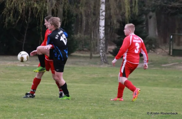 SV Wollin - Lok II 1:1