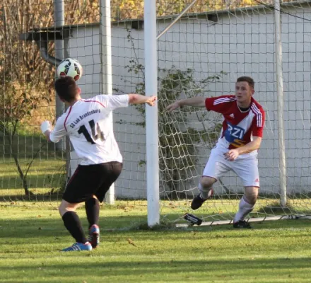 Lok - Gülitz 11:0 (4:0)