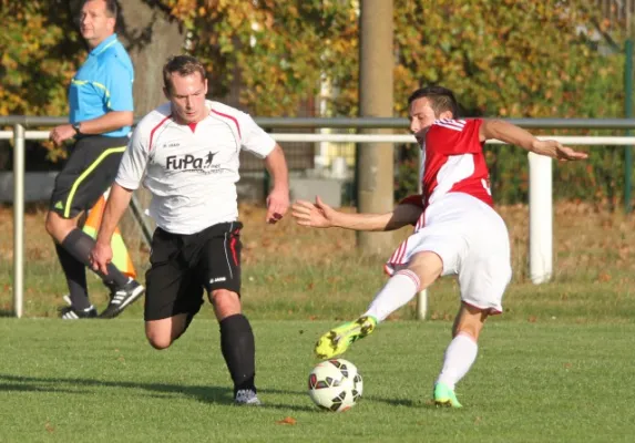 Lok - Gülitz 11:0 (4:0)