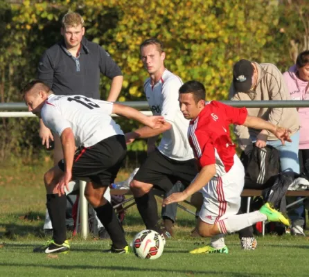 Lok - Gülitz 11:0 (4:0)